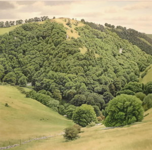 Wolfscote Dale from Gipsy Bank